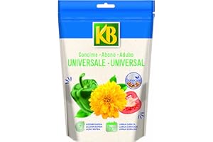 ITAL-AGRO Osmocote - Abono universal de difusión lenta (6 meses) en paquete de 750 gramos