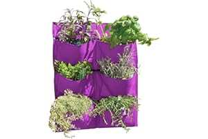 Vegtrug FWP10BK - Macetero de fieltro para pared, color negro, tela, morado, 55x5x70 cm