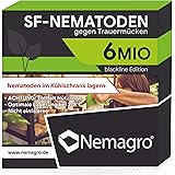 Nemagro® SF-Nematoden 6mio - Für eine einfache Anwendung zu Hause!