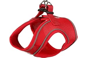 Doodlebone Snappy Harness, Ruby, 3
