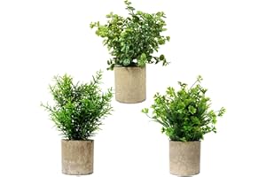 JIAZIGUO 3 pezzi verde assortiti pianta artificiale trifoglio bosso e rosmarino pianta finta plastica in vasi di polpa di carta per home office arredo giardino