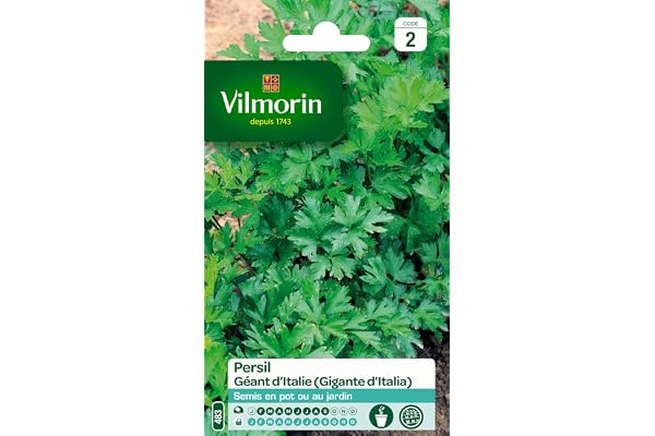 Vilmorin 3790542 Pack de Graines Persil Commun Géant d'Italie