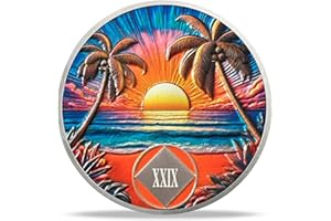 DEDECOML 29 Year Sobriety Coin - Beach NA Medallions | Narcotics Anonymousa AA Chips and Medallions | Addiction Recovery Gifts for Celebrating Recovery Anniversary Milestones | Sobriety Gifts for Women & Men
