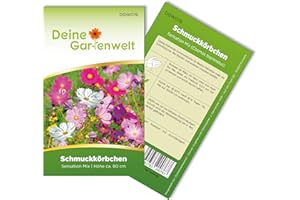 Cosmea Schmuckkörbchen Sensation Mix Samen - Cosmos bipinnatus - Cosmeasamen - Blumensamen - Saatgut für 70 Pflanzen