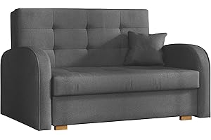 ‎MIRJAN24 Mirjan24 Schlafsofa Viva Gold II mit Bettkasten, 2 Sitzer Polstersofa mit Schlaffunktion inkl. Kissen, Sofa, Sofagarnitur, Bettsofa, Wohnlandschaft, Farbauswahl (Kronos 22)