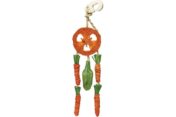 Rosewood Bonhomme Attraperêve À Carottes pour Petit Animal