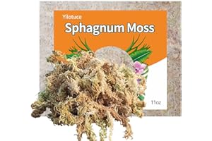 Yilotuce Sphagnum Moos, 310 g spaghnummoss für Orchideen, Gutes Kultursubstrat für Orchideen, Geweihfarne, Pflanzensetzlinge, Bewurzelung von Stecklingen und Anderen Pflanzen