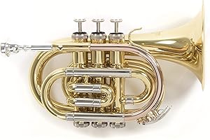 Roy Benson MOD.PT-302 BB Lacquered finish, Bell diameter 125 mm, Pocket Trumpet with Light Rectangular Case