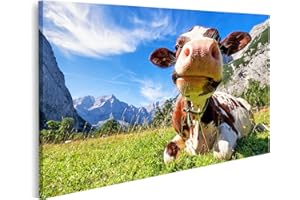islandburner Bild auf Leinwand Kuh Auf Wiese Im Karwendelgebirge Österreich Bilder Wandbilder Poster