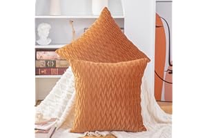 Madizz 2 Pezzi Federe in Velluto Copricuscini Morbido Decorativo Fodere per Cuscino Lusso Stile per Divano Camera da Letto Arancione Quadrate 65x65 cm