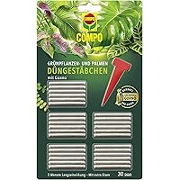 COMPO Grünpflanzen- und Palmen Düngestäbchen mit Guano, 3 Monate Langzeitwirkung, 30 Stück