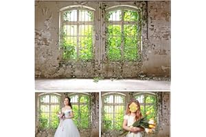 WAWBACKDROP WaW 2,7 x 1,8 m pudełko fotograficzne, tło na wesele, urodziny, rustykalne tło okienne, tło do studia fotograficznego, dzieci, portretów, ściany fotograficznej, wideo