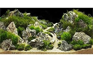 MIRRORANG 120x61cm Acquario Sfondo Roccia 3D Pietre di Roccia Erba Terrario Sfondo Decorazione Rettile Serbatoio Sfondi