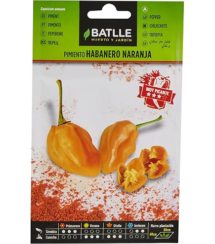 Semillas Batlle Habanero Orange Saatgut - Scharfer Orangener Chili-Pfeffer