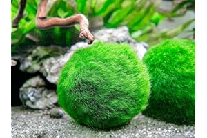 BulzEU Algues Decoration Aqurium, Boules de Mousse Plante D'Ornement pour Aquarium Bouteille en Verre