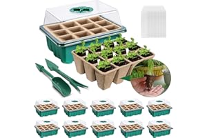 YeahBoom 10 Pièces Mini Serre pour Plantes,120 Trous Bac à Semis Pot,Boîte de Culture avec Couvercle et Ventilation Durables,Plateaux de semis Kit de démarrage,Plateau de Semis Hydratant
