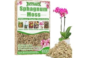 ZeeDix 85g Sphagnum Moos für Pflanzen, Natürliches Langfaser-Sphagnum-Torfmoos in Großpackung für fleischfressende Pflanzen, Orchideen, Sukkulenten, Venusfliegenfallen und Reptilien (6L hydratisiert)