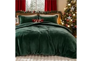 ‎LANQINGLV Lanqinglv Winter Bettwäsche 200x200cm Biber Dunkelgrün Grün Samtweichem Plüsch Flanell Unifarben Bettbezug mit Reißverschluss und 2 Kissenbezug 80x80cm