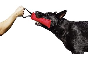 DINGO GEAR WWW.DINGOGEAR.COM 1977 Dingo Gear K9 IGP & Fun Jouet à Tirer en Nylon pour Dressage de Chien Rouge 20 x 7 cm