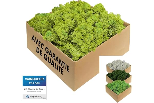 GJS Mousse de Renne - 1kg / 500g / 200g, différentes Couleurs - Vraie Mousse Naturelle (Islande) conservée (Vert Clair, 1kg)
