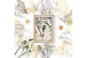 DOG'S BOOTY Fleurs Séchées Fleurs Sechees Fleurs Sechees Naturelles Fleur Sechees Decoration Fleur Séchée Fleur Séchées Fleurs Séchées pour Resine Epoxy pour DIY Artisanat Scrapbooking Savon Bougies (Blanc)