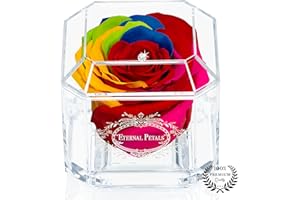 A 100% Real Rose That Lasts Years - Eternal Petals, Handmade in UK – White Gold Solo with A Multicolour Crystal (Rainbow)