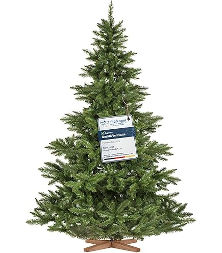 EDG Enzo de Gasperi - Pino Argentato con 240 Led H90 cm
