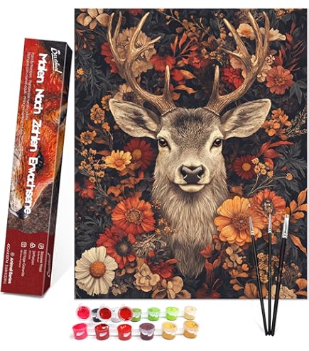 Bougimal Peinture Par Numéro Adulte Avec Pinceaux Et Acryliques Bricolage Peintures Kits Pour