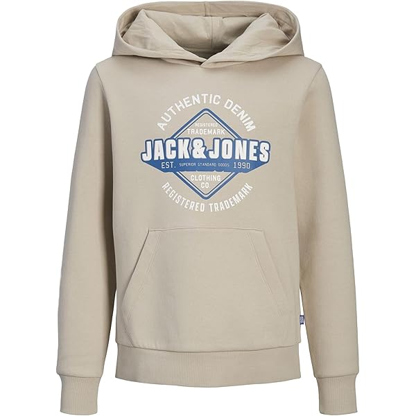 JACK&JONES JUNIOR JCOMOUNTAIN LOGO SWEAT HOOD SN JNR Garçons - Taille 140