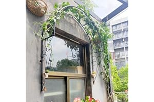 WALISK Arche de Jardin Murale Treillis de Jardin pour Plantes Grimpantes Arche de Jardin Extérieure Fer Art Rétro Design Rustique Arche à Roses pour Jardins Balcon Fenêtres Portes