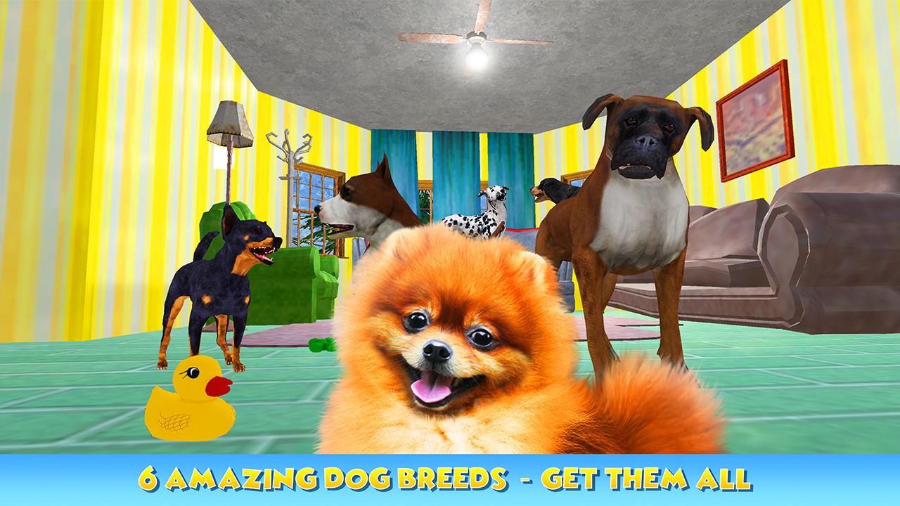 Groom Your Dog Pet Hotel Simulator Game Amazon.de Apps für Android