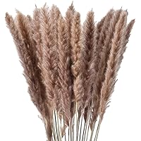 30 Stücke Natürliche Getrocknete Kleines Pampasgras, Trockenblumen, Blumenstrauß Vasen Deko DIY für Inneneinrichtungen…