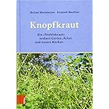 Das Knopfkraut: Ein "Teufelskraut" erobert Gärten, Äcker und unsere Küchen