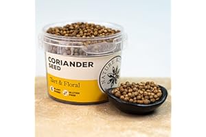 Nature Kitchen Semi di coriandolo 35 g vasetto di spezie ed erbe aromatiche. Senza glutine e vegano, miscele di cottura quotidiana per marinate, salse, friggere, cuocere al forno o grigliare