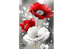 MXJSUA Peinture Diamant Adulte, Fleurs de Coquelicot 5D Diamond Painting Complet, Diamant Strass Point de Croix Cristal Painting, Diamant Kit Murale Décoration, 30x40 cm