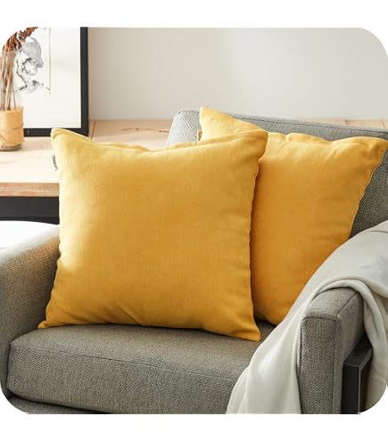 Lot de 2 housses de coussin décoratives en velours - Couleur unie - Avec fermeture éclair - 50 x 50 cm - Marron,301 - Maison