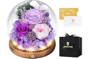 MAMAMIKO Eternal Roses in Glass with LED Light, Infinity Rose, Preserved Roses Real Flower, Gift for Women, Mum, Girlfriend, Valentine's Day, Anniversary, Birthday, Mother's Day, Purple Rose Gift for