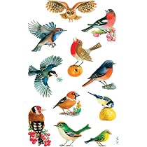 80 Adesivi Trasparenti A Forma Di Uccellino In PET, 20 Stili Diversi, Dimensioni 3-5 Cm, Impermeabili E Riposizionabili, Per Scrapbooking, Laptop E Decorazioni