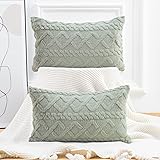 Madizz 2 Pezzi Federe in Lana Corta Pile Velluto Copricuscini Morbido Decorativo Fodere per Cuscino Lusso Stile per Divano Ca