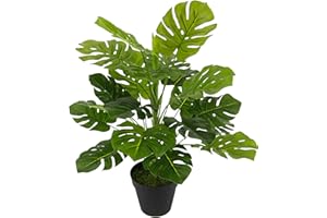 ‎FLAIR FLOWER Kunstpflanze Splitphilo im Topf Künstliche Blattpflanze Splitphilo-Pflanze Monstera Seidenblumen Pflanzen Dekopflanze Grünpflanze Seidenpflanze Zimmerpflanze Kunstblume Deko Büropflanze 46x35x35cm