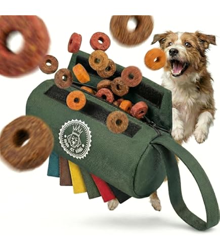 Een leuke halsband met strik voor honden, verkrijgbaar in verschillende