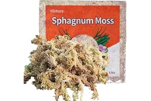 Yilotuce 155g Sphagnum Moos für Pflanzen, Premium Komprimiert Sphagnum Moos für Orchideen