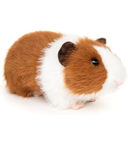 Jellycat Gordy Guinea Pig Stuffed Toy: Amazon.de: Toys