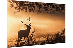 Bilderwelten Paraschizzi Cucina Vetro Temperato Cervi nella Foresta di Inverno, 40x60 cm