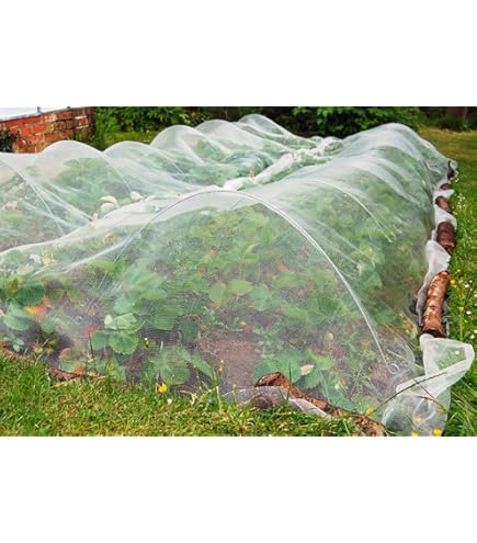 Filet Anti-insectes 2 X 10 M - IDEAL GARDEN - Mr.Bricolage