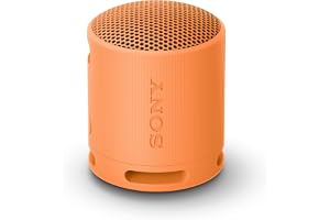 SRS-XB100 - trådlös bärbar Bluetooth-högtalare, 16 timmars batteri, hållbar IP67 vattentät och dammtät, eko, utomhus och resor i