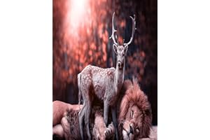 Taasmoog 5D Diamant Gemälde, DIY Diamond Painting Set, Cross Stickerei Malerei Kits Diamant Painting Bilder für Home Wall Decor Dekorationen(Elch30x40cm) (Orange)