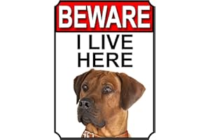 SHAWPRINT LIMITED SHAWPRINT BEWARE I LIVE HERE METAL GATE SIGN RHODESIAN RIDGEBACK 200MM X 10MM (1078H1)