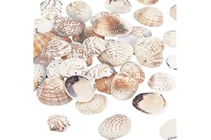 PH PANDAHALL Pandahall Elite - Cuentas con forma de varios tipos de concha (40~50 unidades), Style-2, 24~29mm long