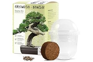 HAPPYSEED GROW2GO Bonsai Kit avec eBook GRATUIT - Bonzai Set avec mini-serre, graines et terre - idée cadeau durable pour les amoureux des plantes (Pin Australien)